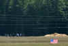 Click on the Flight 93 Shanksville photo for a larger image.