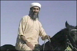 September 11 News.com - Osama bin Laden. A profile of Osama bin Laden, the Taliban, and the al-Qaida. Osama bin Laden and his al-Qaida organization are wanted by world governments for acts of terrorism in New York City and Washington on 9-11-2001.