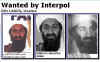 Click for a larger image. The target of the Afghanistan campaign is Osama bin Laden and the Al-Qaeda network.